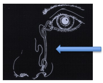 Fig.2.Tubo de silicone.